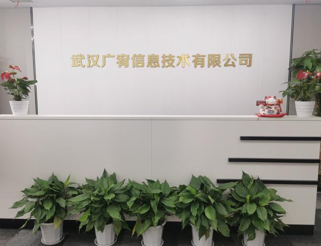 柳俊雄,公司经营范围包括:信息技术咨询服务;信息系统集成